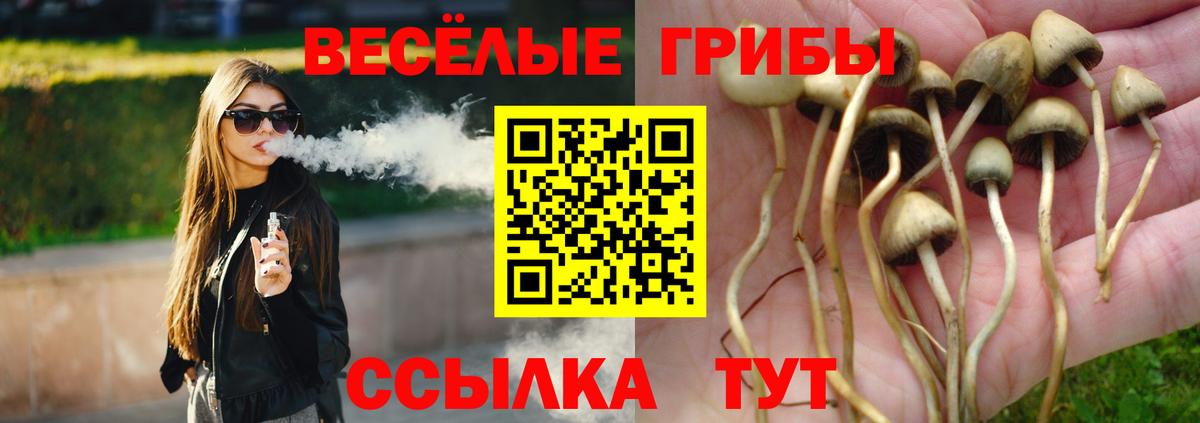 дарнет шоп  Вход с VPN  Семилуки  Псилоцибиновые грибы Cubensis 